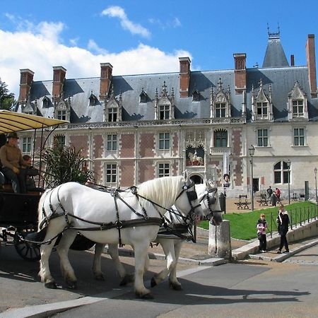 Blois City - Le Petit Saint Jean Екстериор снимка