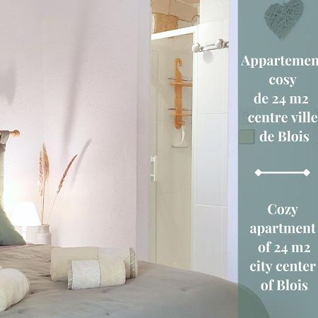 Blois City - Le Petit Saint Jean Apartment Екстериор снимка