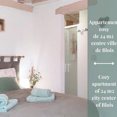 Blois City - Le Petit Saint Jean Екстериор снимка