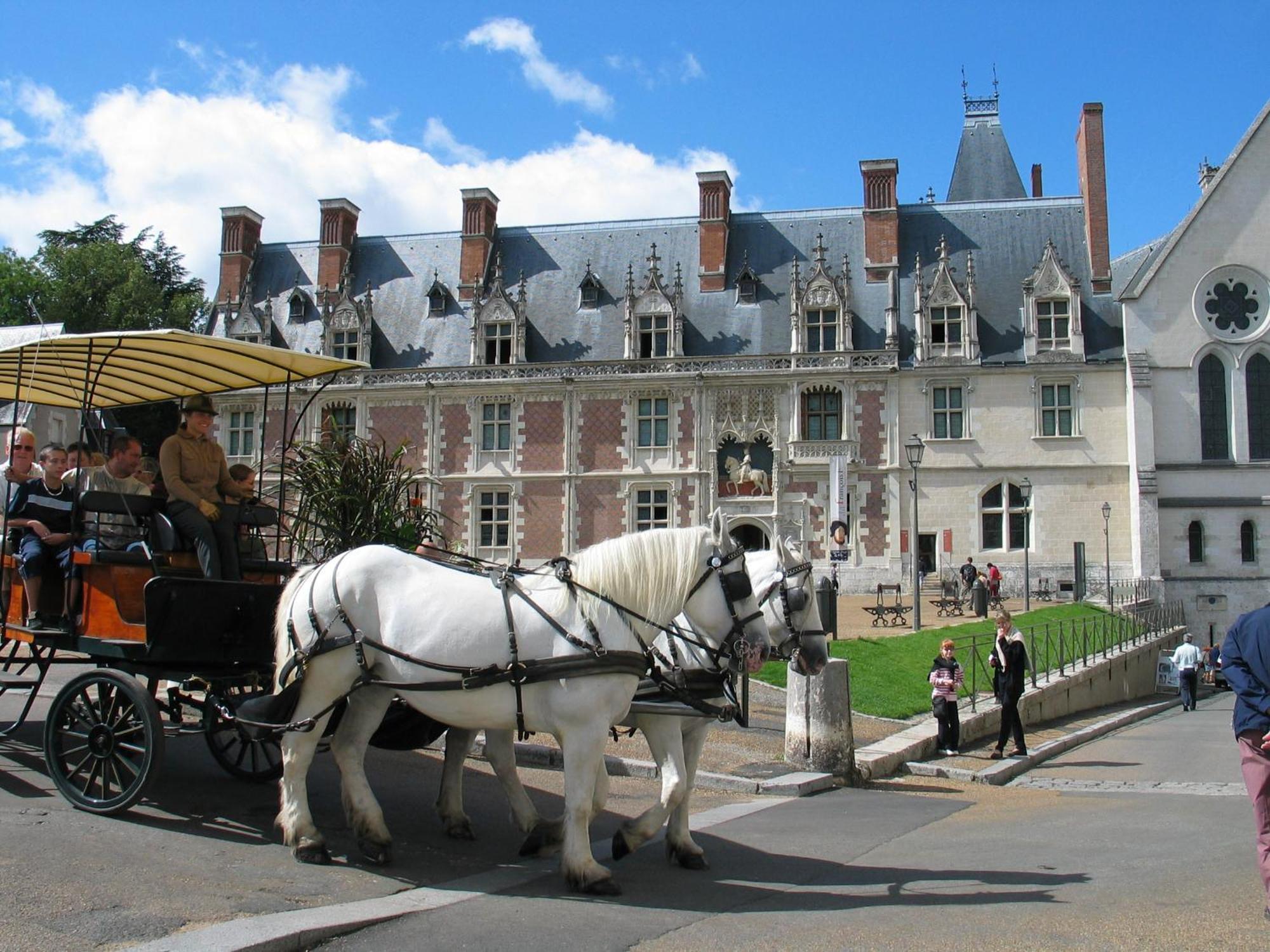 Blois City - Le Petit Saint Jean Apartment Екстериор снимка