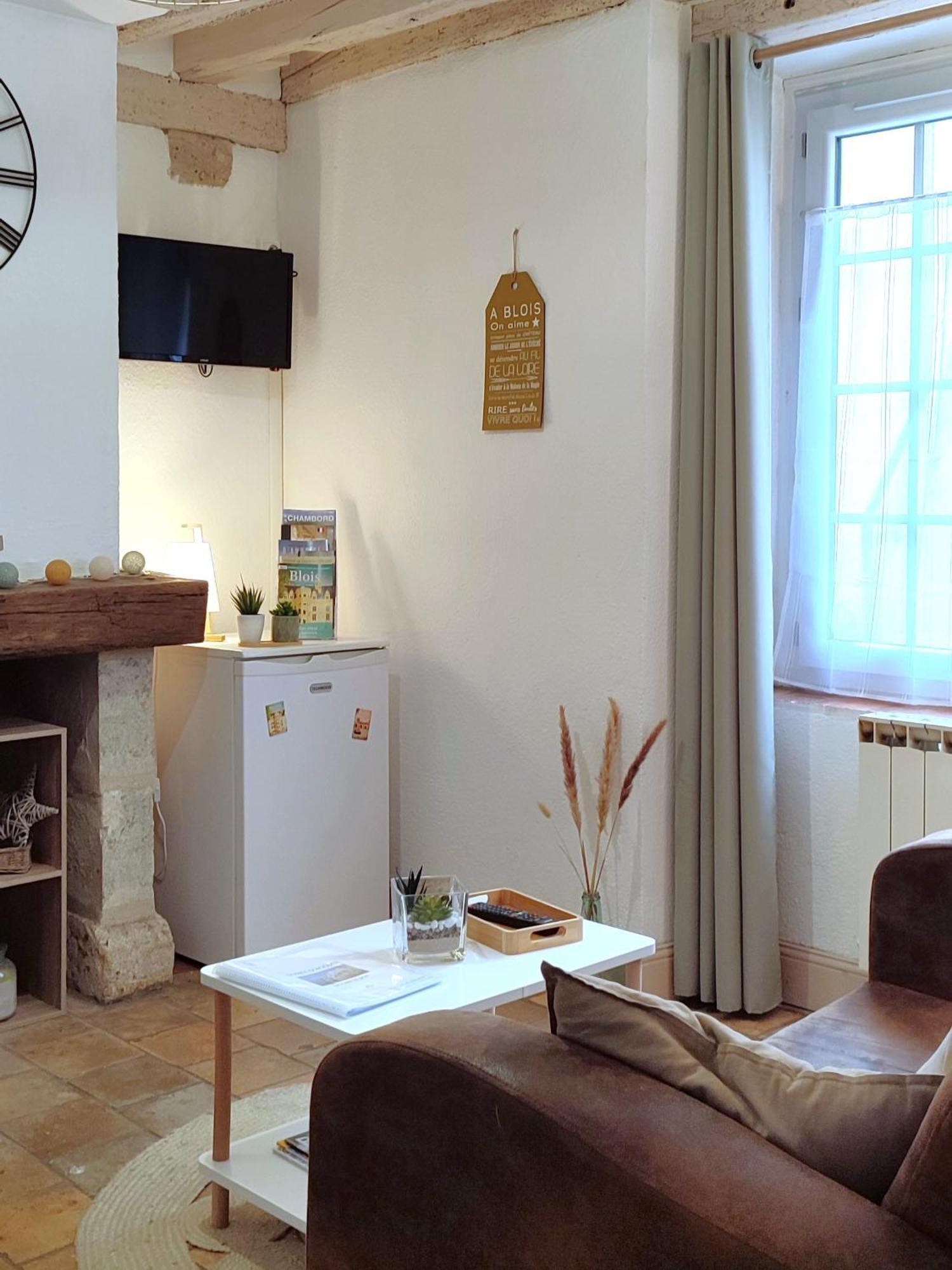 Blois City - Le Petit Saint Jean Apartment Екстериор снимка