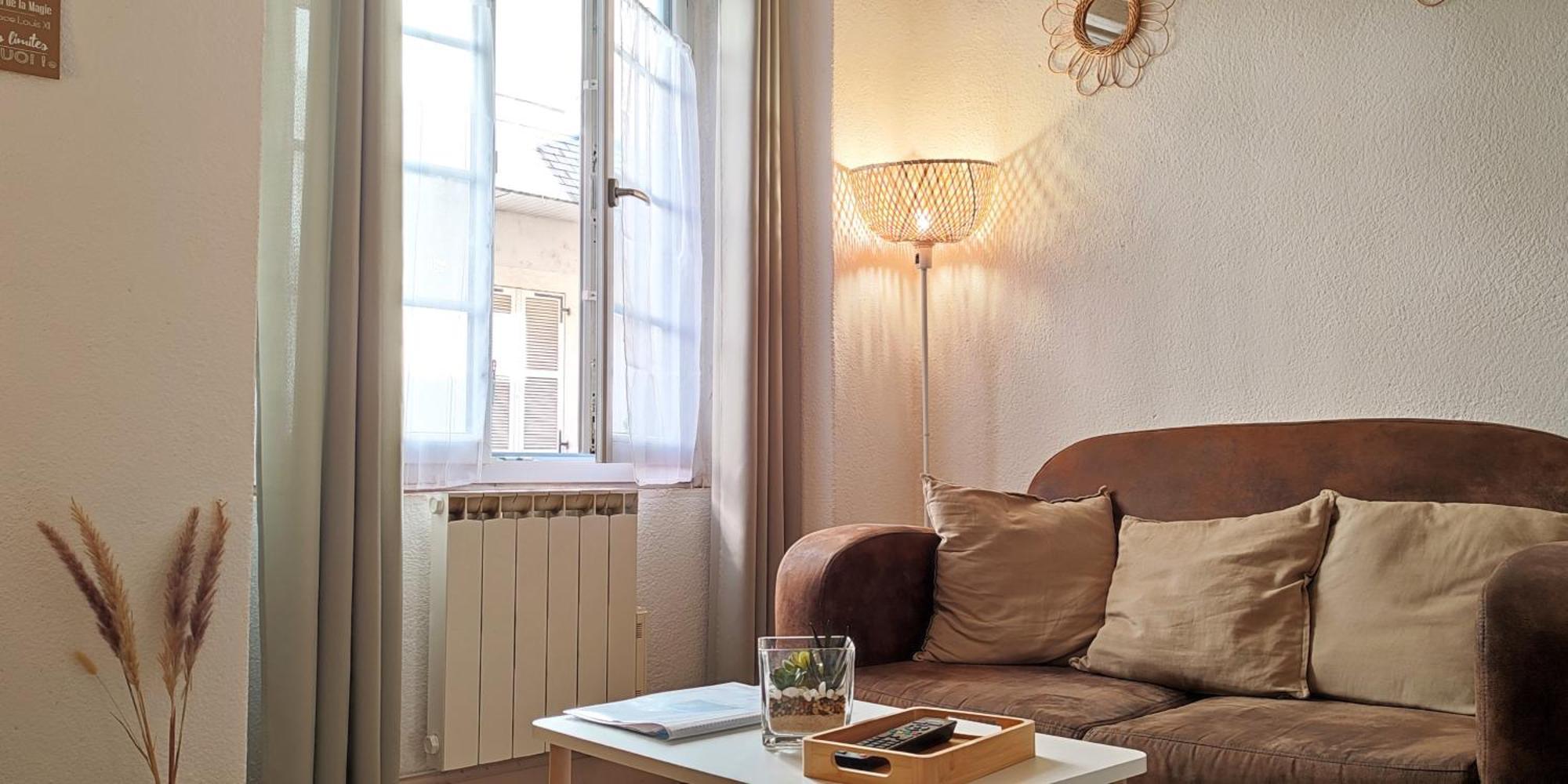 Blois City - Le Petit Saint Jean Apartment Екстериор снимка