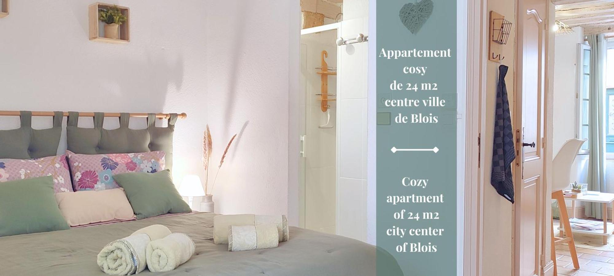 Blois City - Le Petit Saint Jean Apartment Екстериор снимка