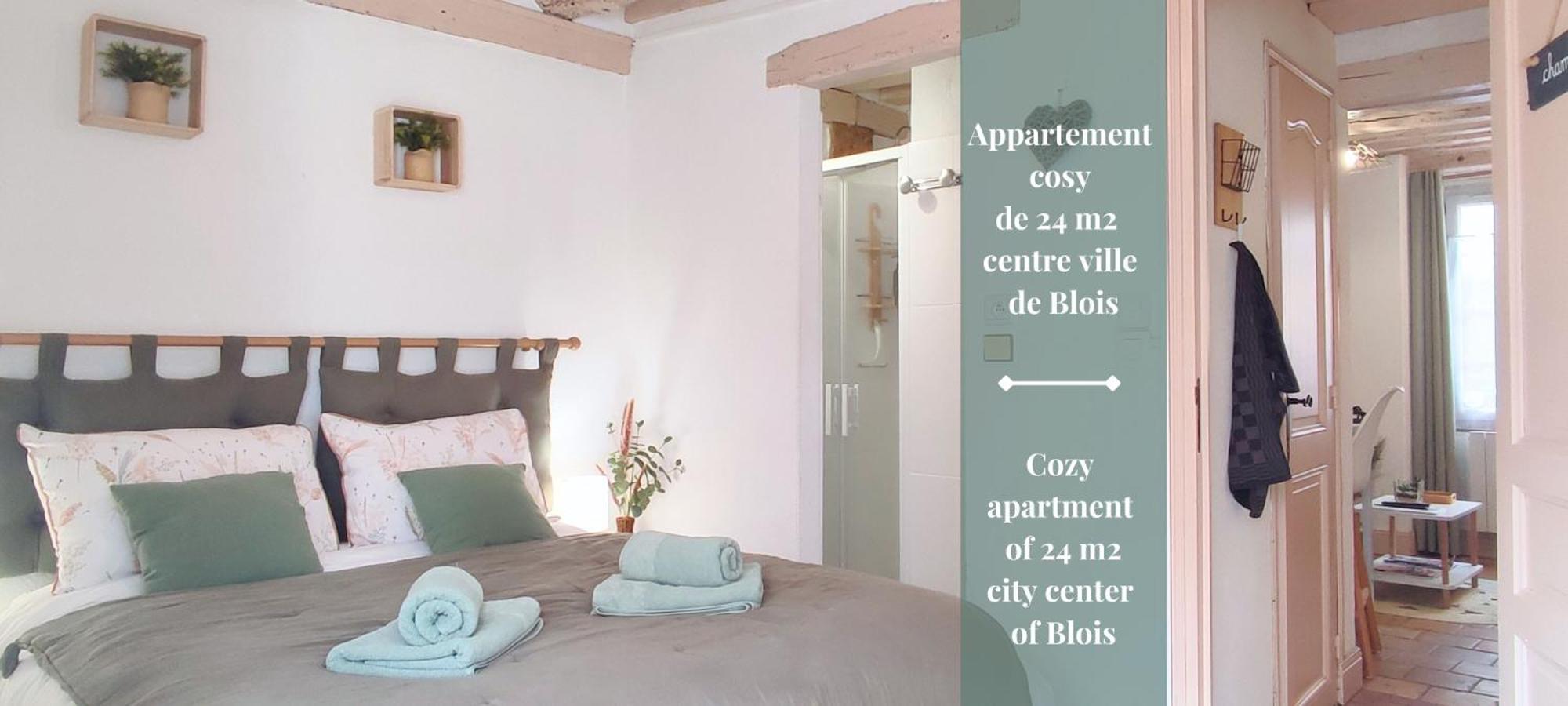 Blois City - Le Petit Saint Jean Екстериор снимка